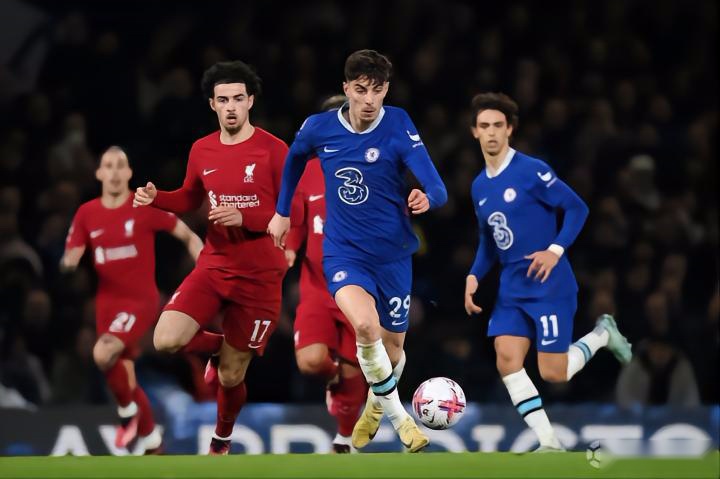 三角草关键 三角草关键